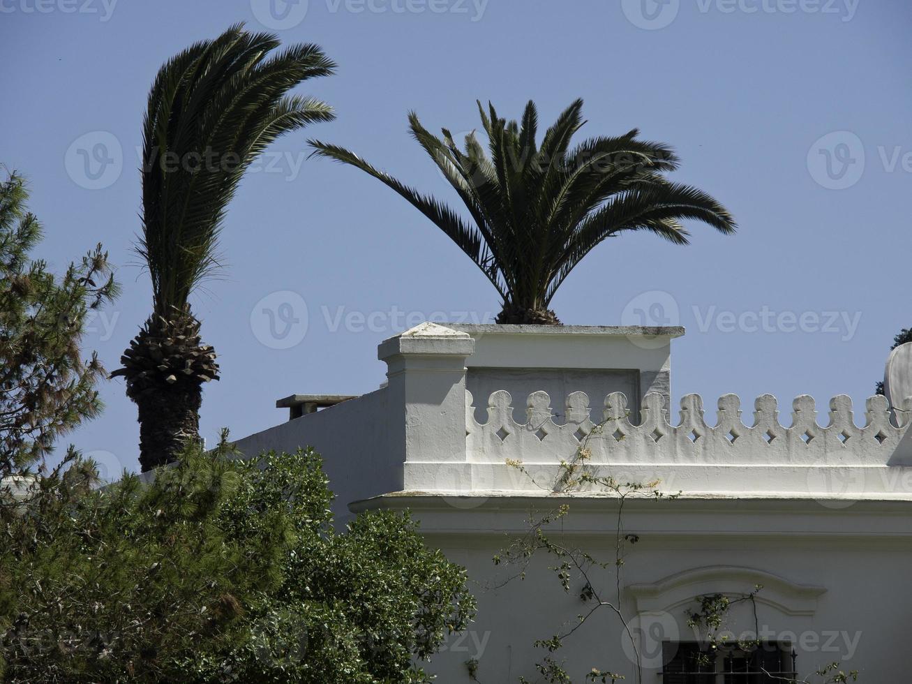 staden tunis i tunisien foto