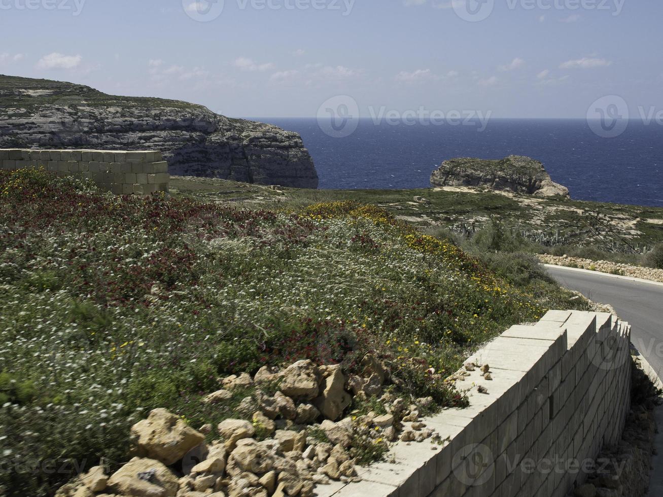 ön Gozo vid Medelhavet foto