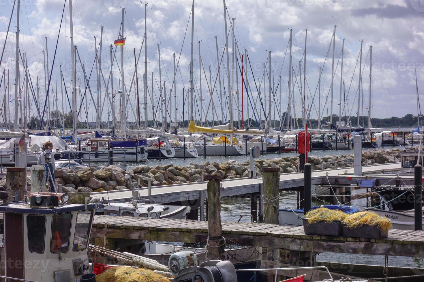 maasholm vid floden schlei foto