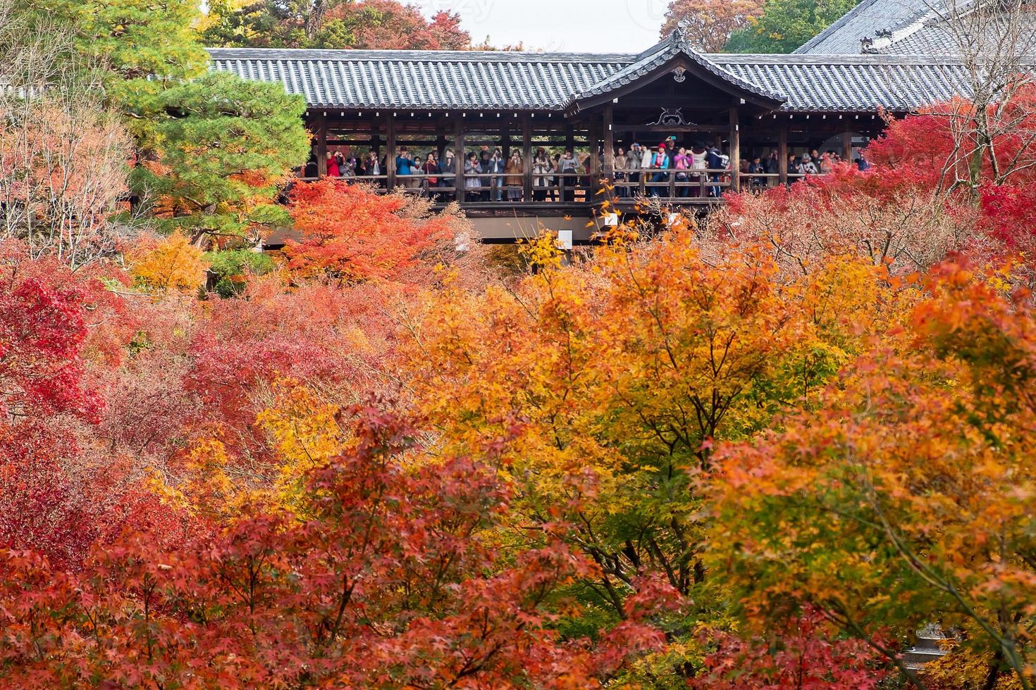 färgglada löv i trädgården vid tofukuji-templet, landmärke och känt för turistattraktioner i Kyoto, Japan. höstens lövverk säsong, semester och resor koncept foto