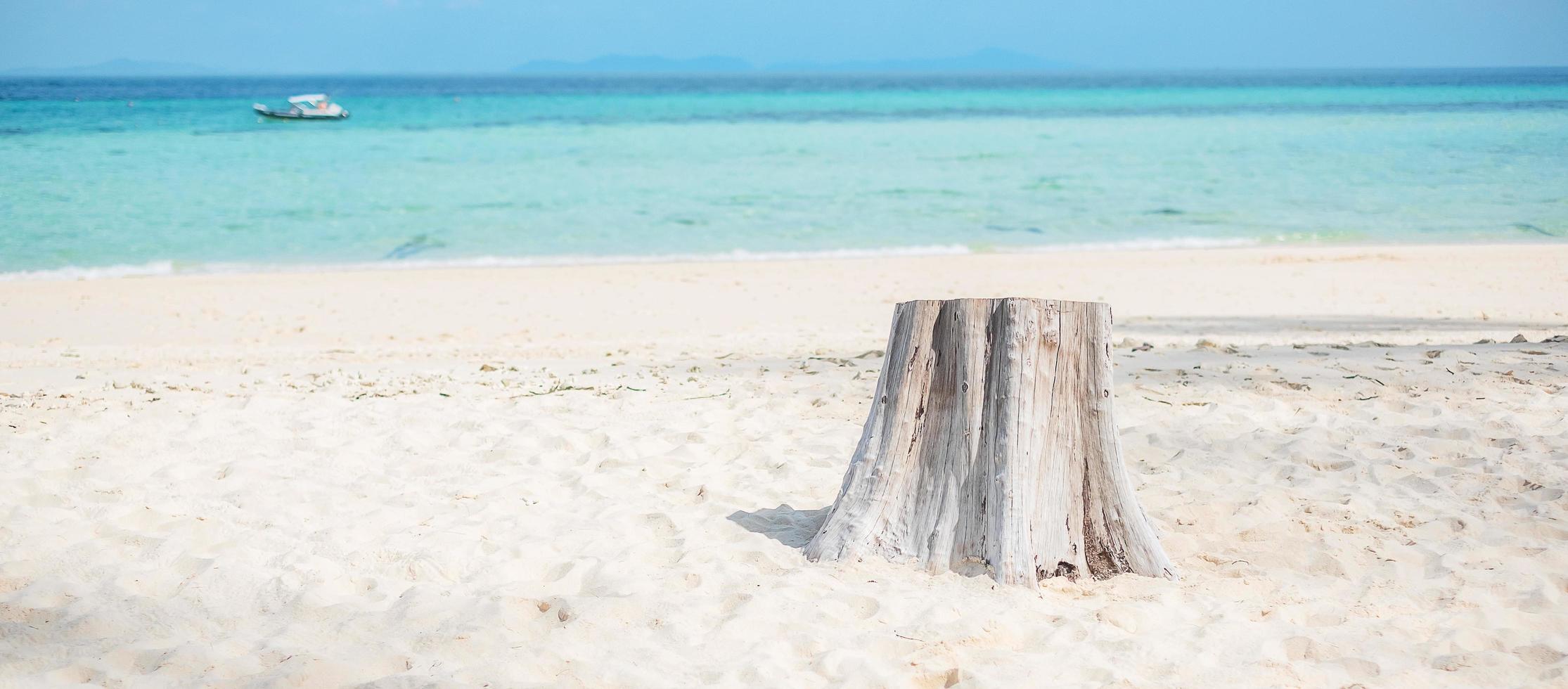 vackert hav och strand på bambuön på phi phi don island, krabi, thailand. destination, sommarresor, semester och semesterkoncept foto