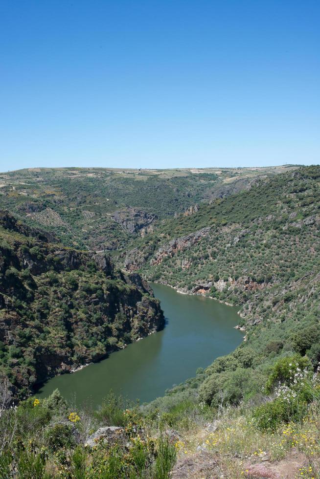vacker flygfoto över floden duero eller douro. gränsen mellan Spanien och Portugal foto