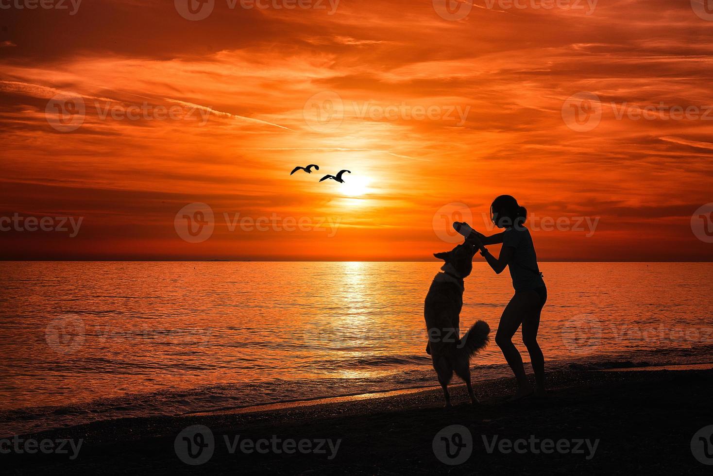 flicka med hund på stranden foto