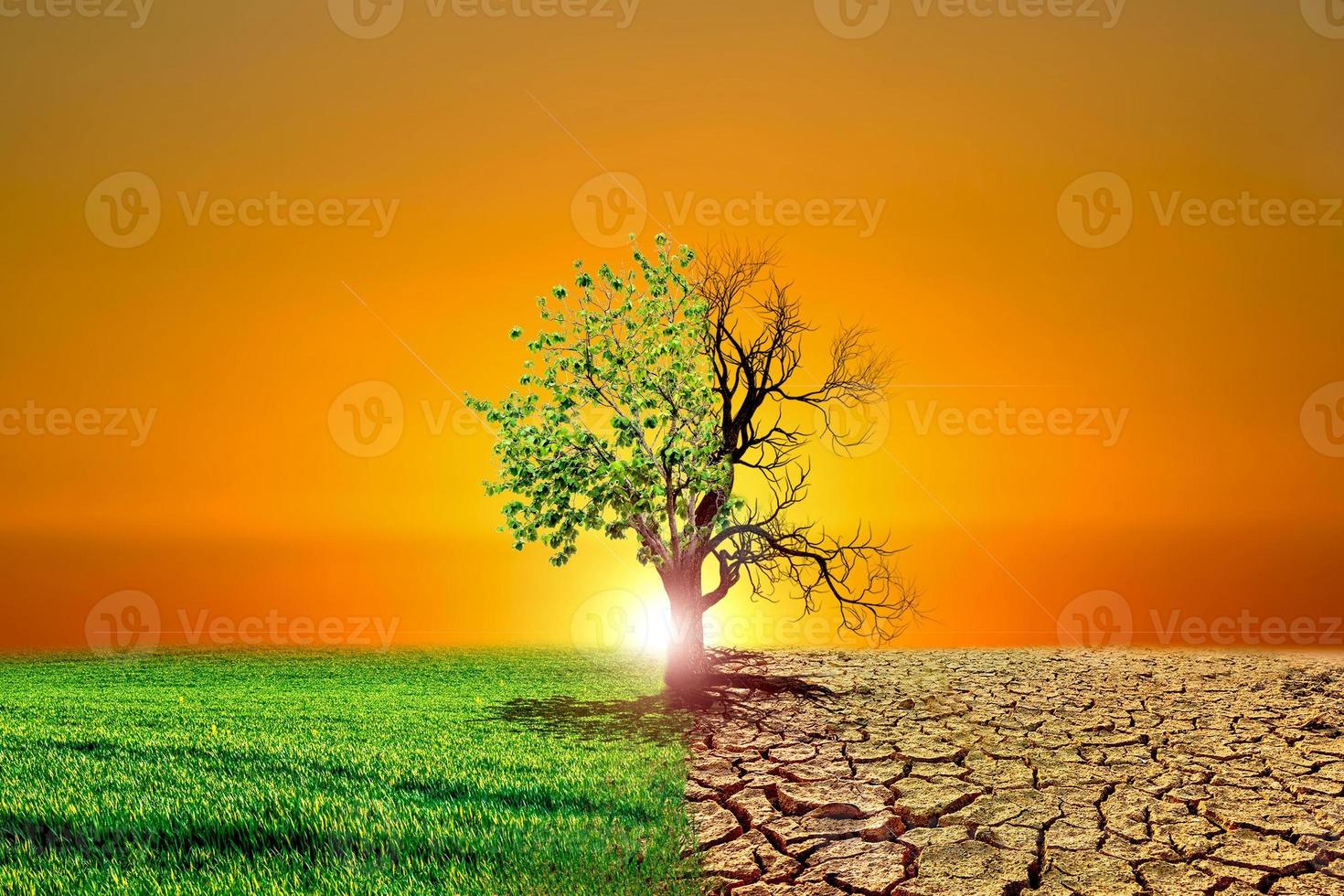global uppvärmning konceptbild som visar effekterna av torr mark på den föränderliga miljön foto