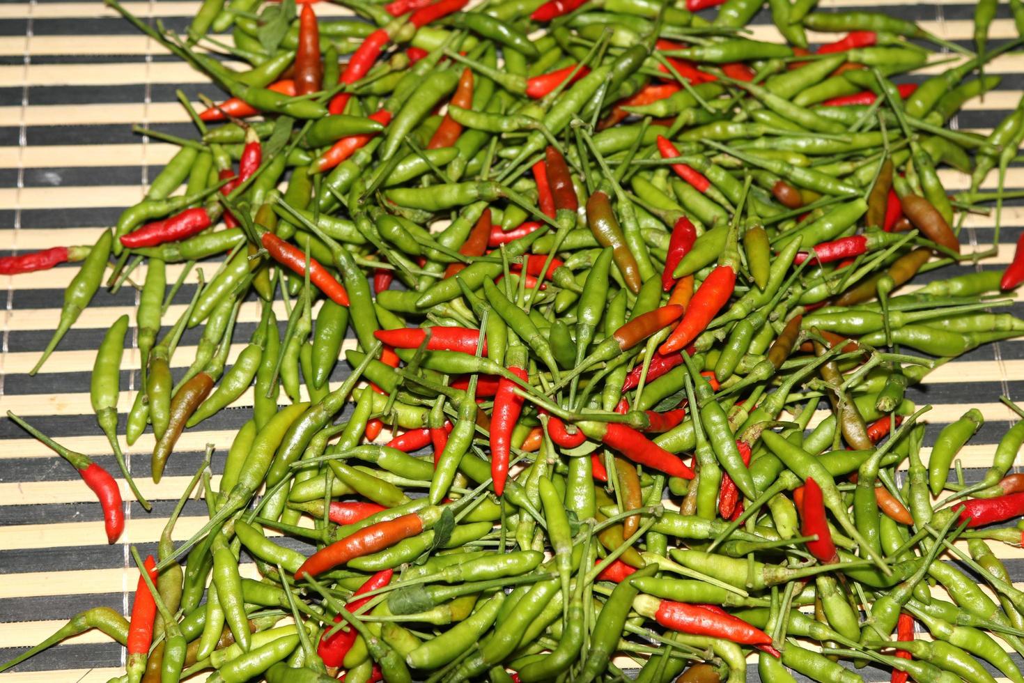 liten chilipeppar är en mycket kryddig chili, den är väldigt populär i thailand som gillar att äta kryddig som krydda - krydda - för handel på jordbruksmarknader - på bambukorgar. foto