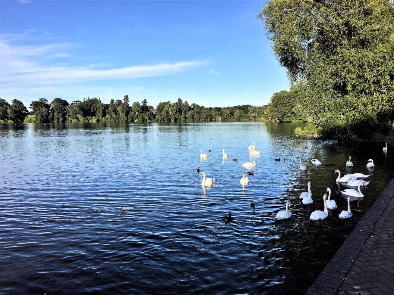 utsikt över ellesmere sjön i kvällssolen foto