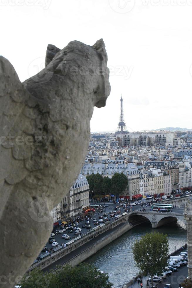 gargoyle, Notre Dame katedral i Paris. foto