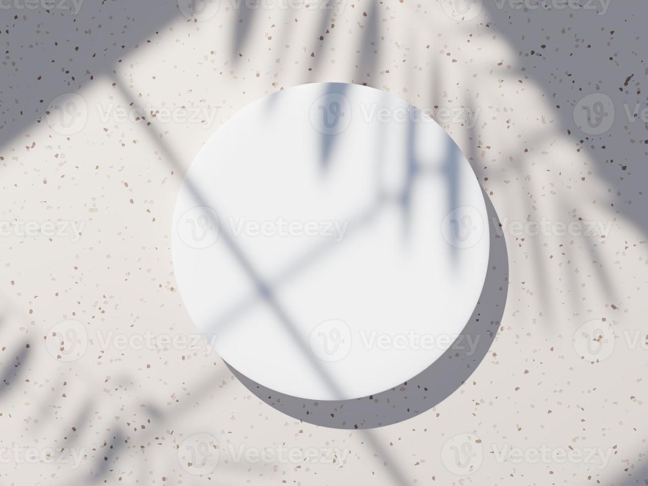 3D-rendering ovanifrån av vit tom cylinderram för mock up och visning av produkter med skuggor av palmblad, jordfärg och terrazzoväggbakgrund. kreativ idé koncept. foto