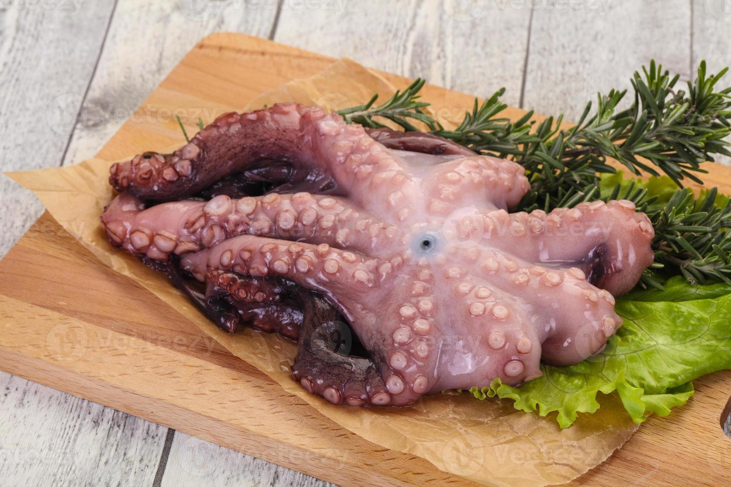 rå bläckfisk redo för matlagning foto