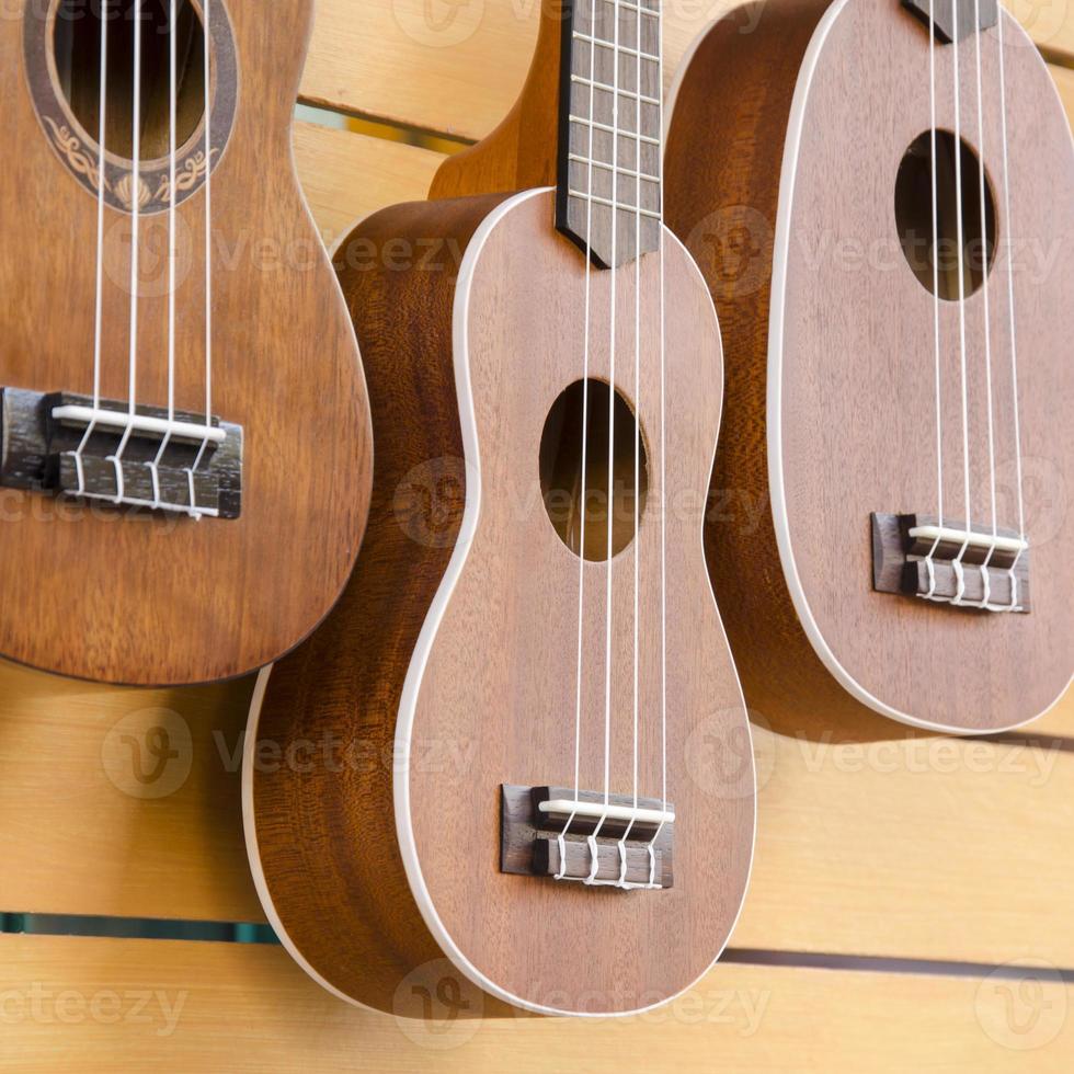 ukulele gitarr foto
