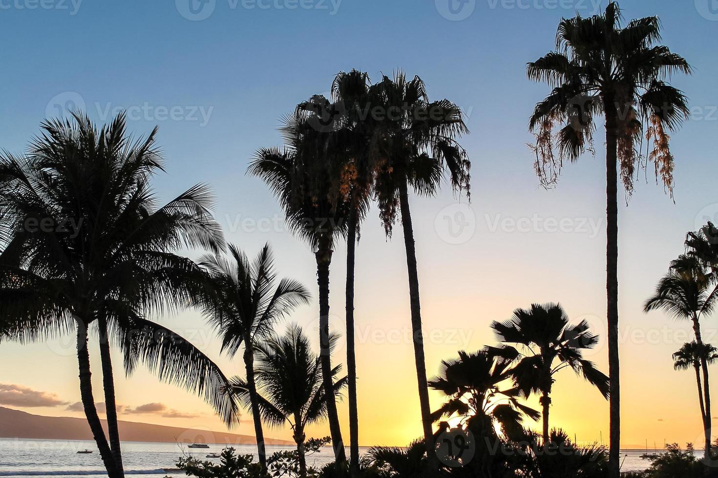 maui solnedgång i hawaii foto