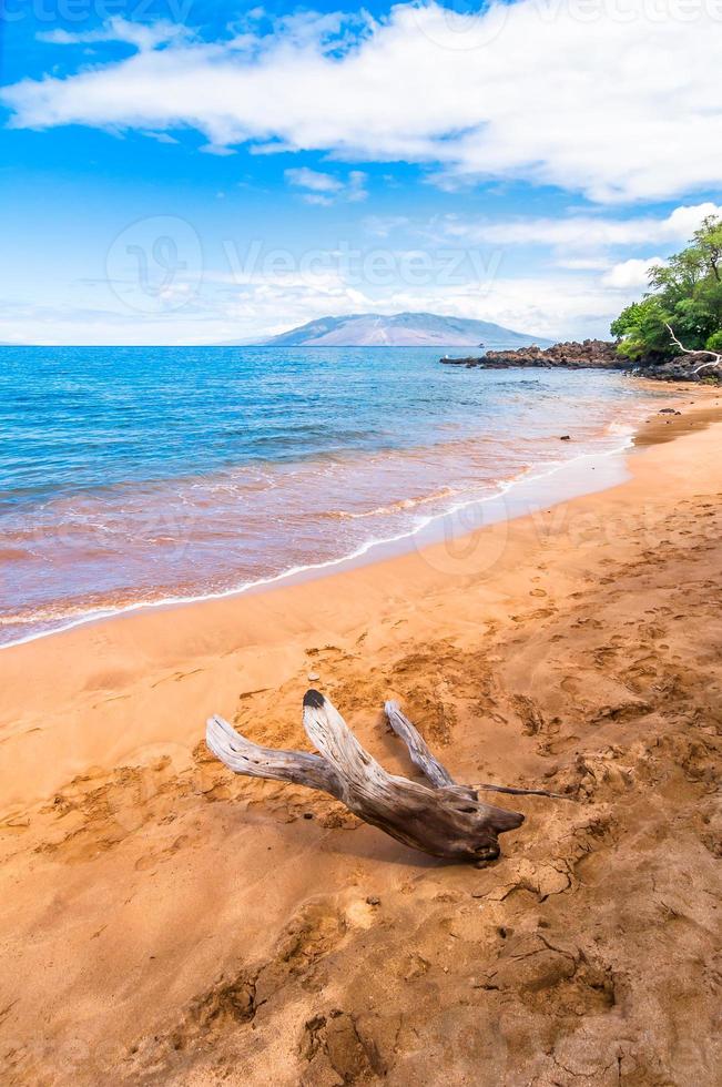 makena beach, berömd turistmål i maui, hawaii foto