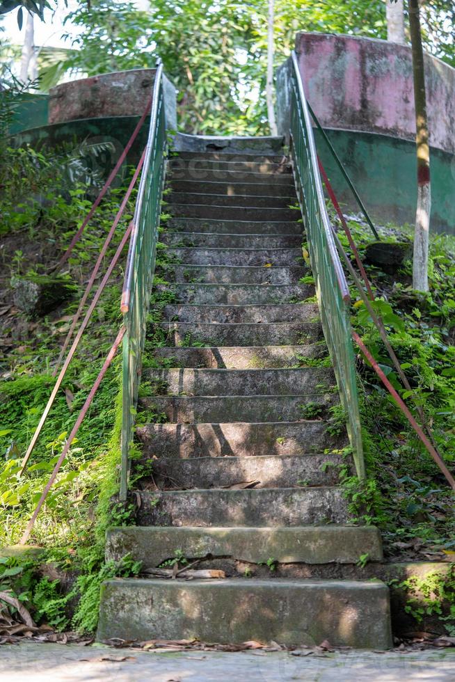 gammal betongtrappa i en park foto