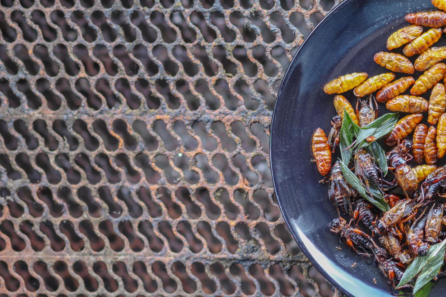 Frasiga insekter serveras i svarta keramiska tallrikar placerade på bord av stålgaller, och stekta insekter är en populär mat i kombination med alkoholhaltiga drycker eftersom de är lätta att hitta och mycket populära foto
