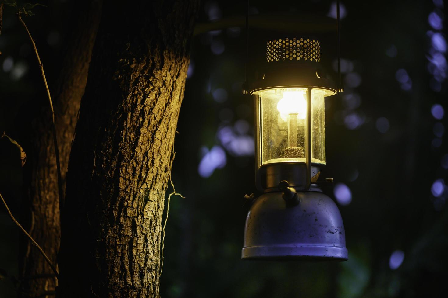 antik oljelampa hängande på ett träd i skogen på kvällen camping atmosfär. resor utomhus koncept image.soft fokus. foto
