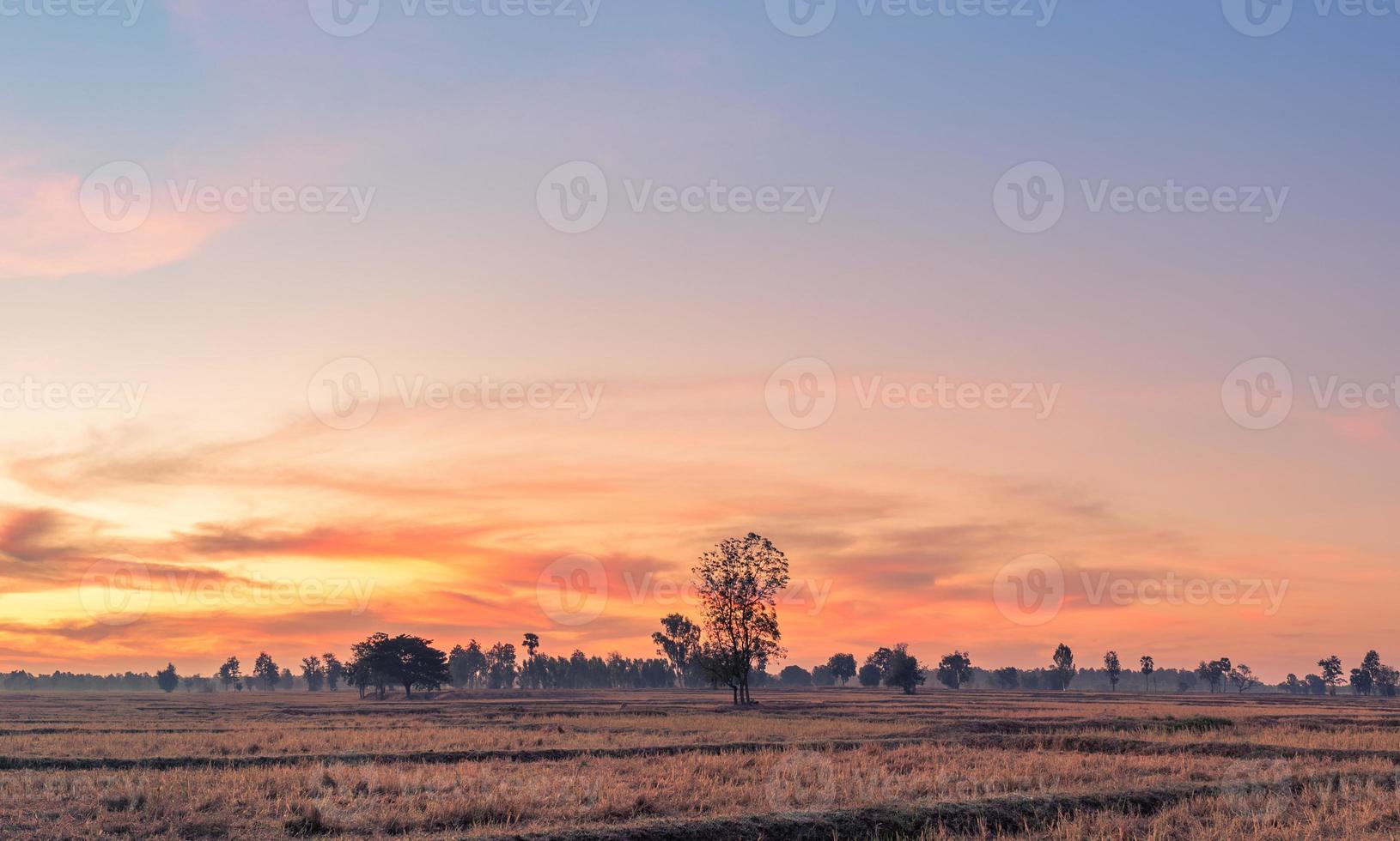 landsbygdens landskap fälten vid soluppgången på morgonen och vacker himmel foto