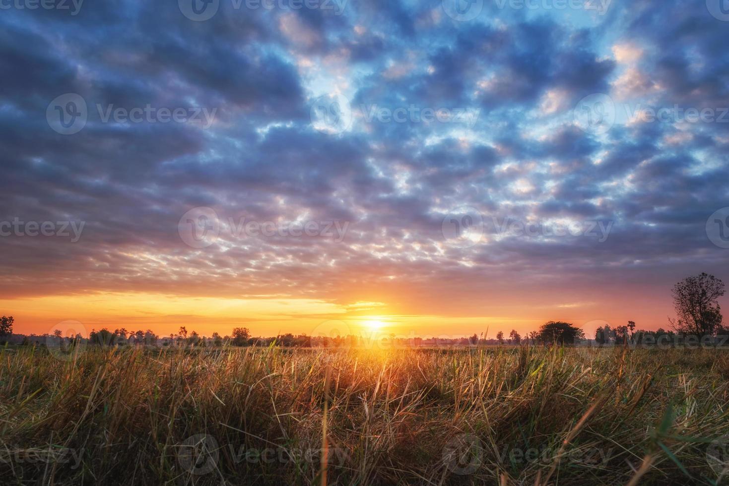 landsbygdens landskap fälten vid soluppgången på morgonen och vacker himmel foto