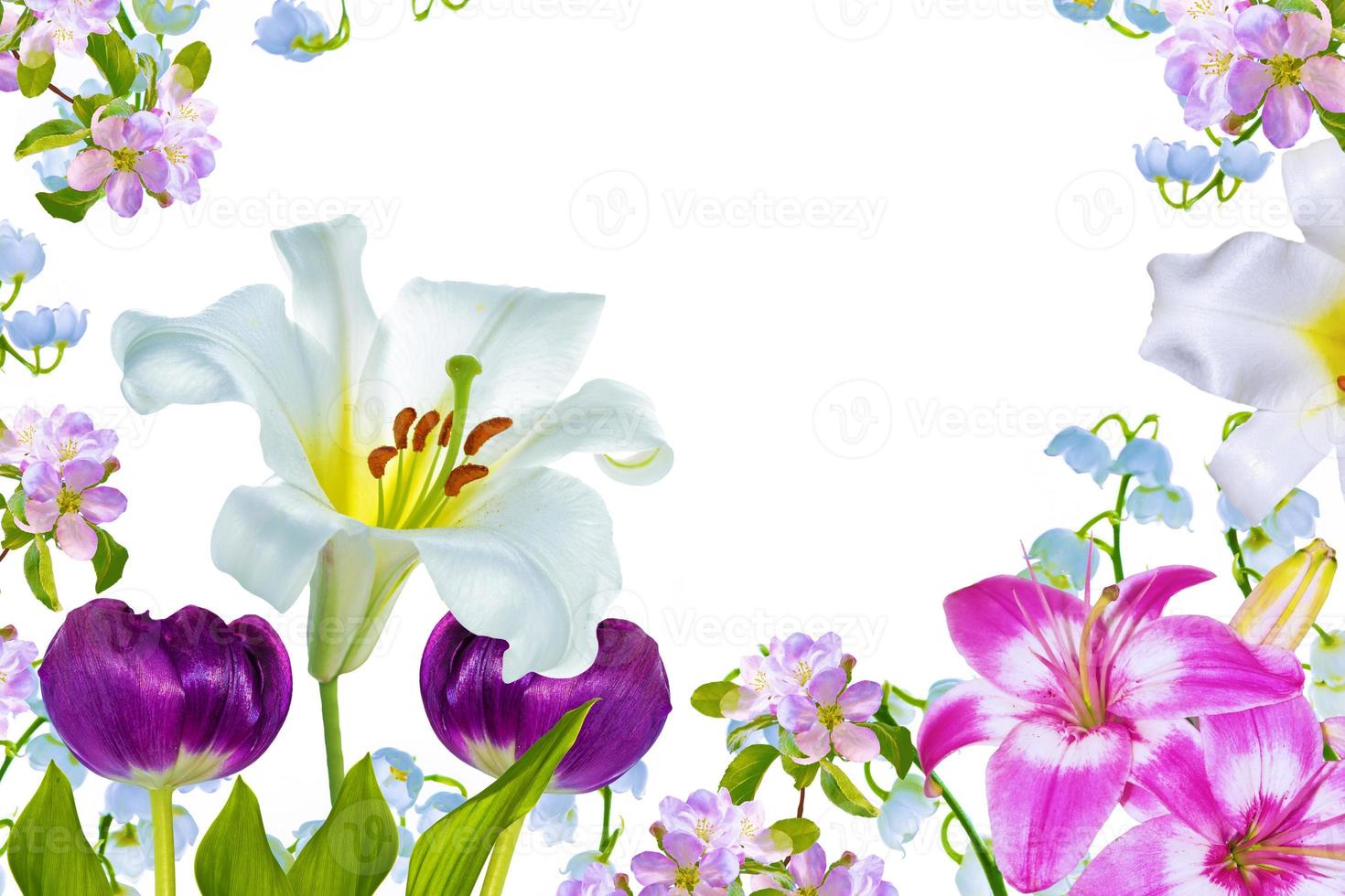 liljor. liljekonvalj blomma på vit bakgrund. foto