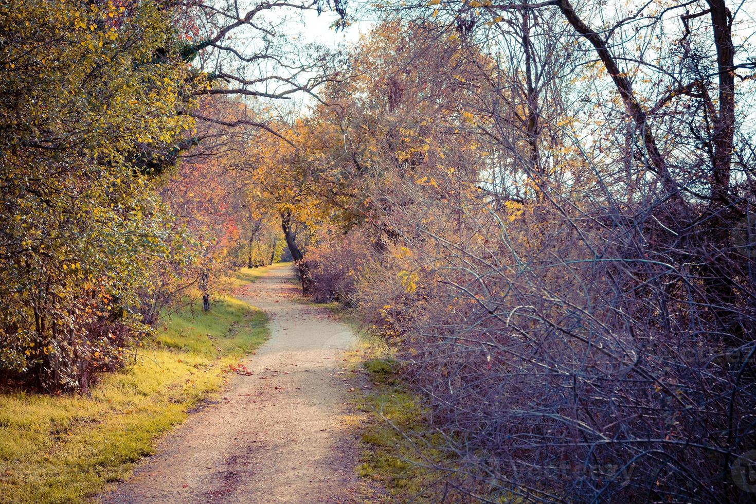 sätt i stadsparken på hösten foto