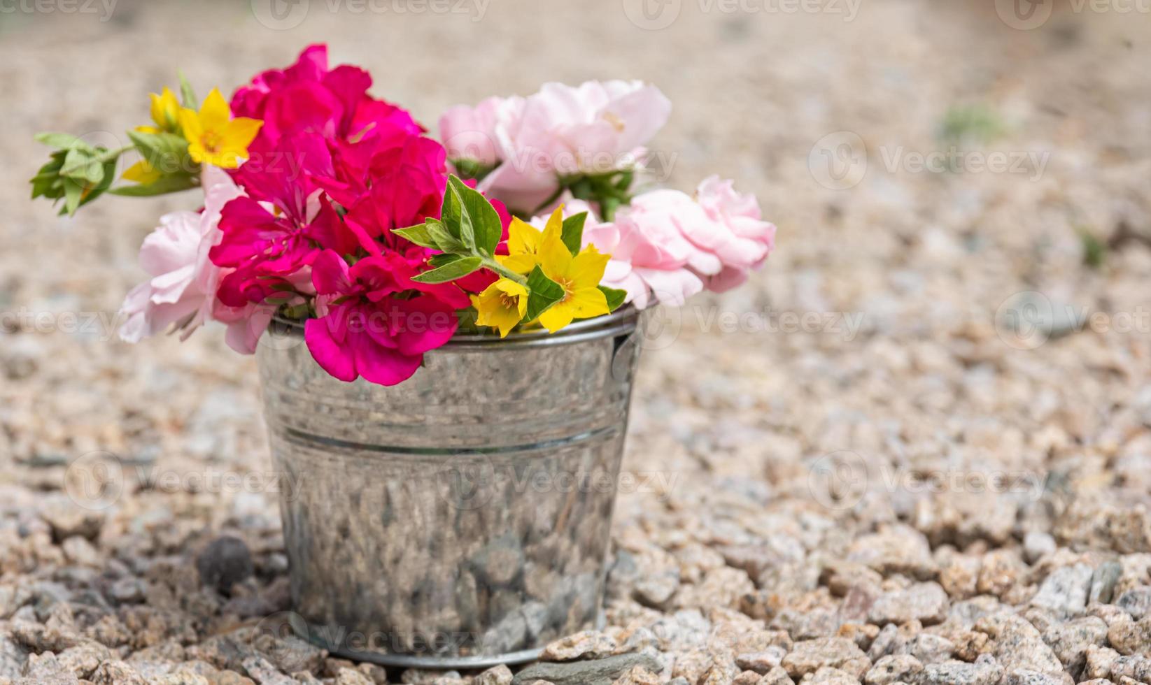 en enda hink full med blommor i naturen foto