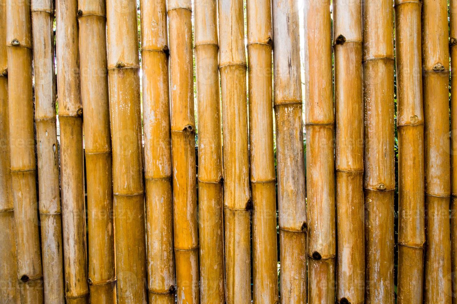 textur av naturlig avverkningsväggdekoration från bambu foto