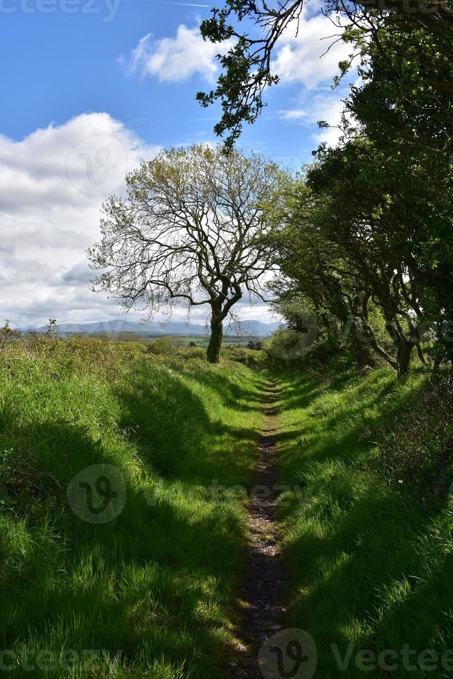 smutsgång genom norra Englands landsbygd foto