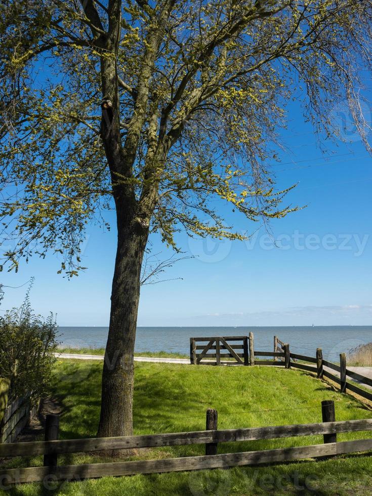 den holländska staden enkhuizen foto