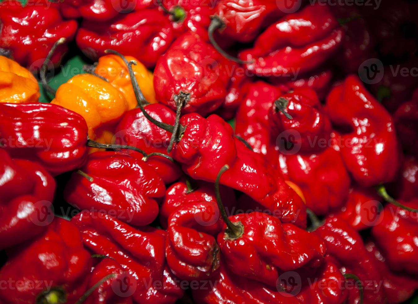 närbild av röda chili i mataffären foto