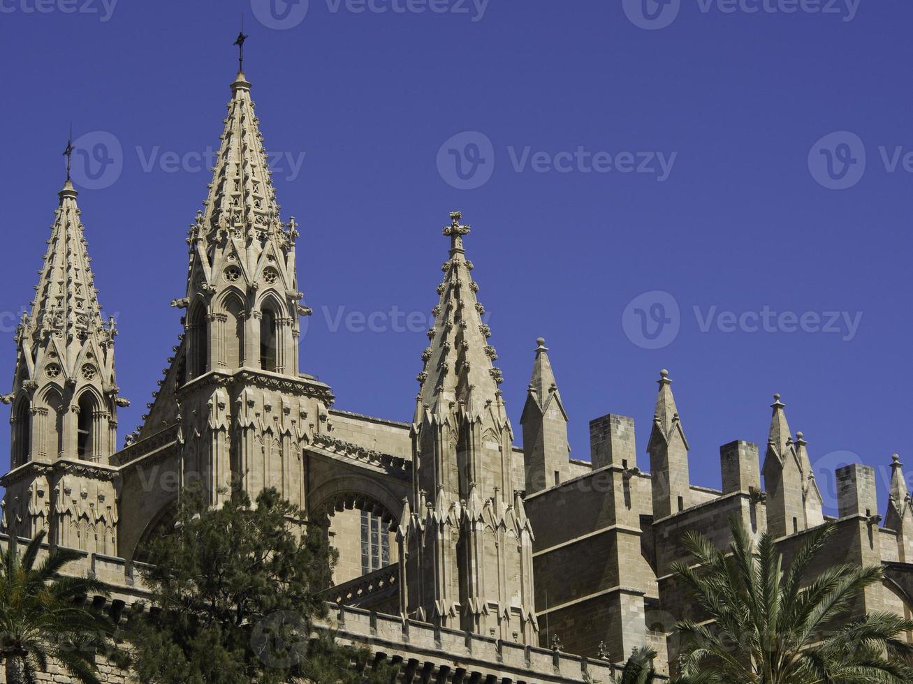 palma de mallorca foto