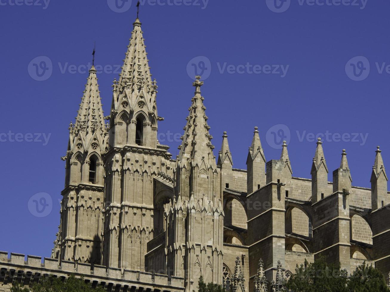 palma de mallorca foto