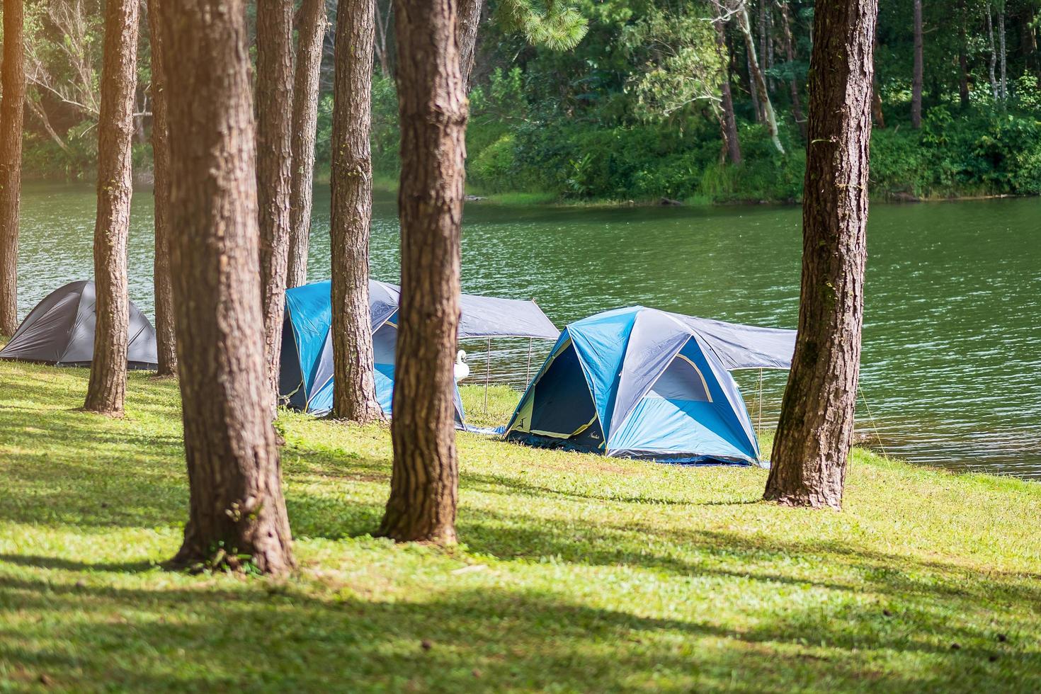 camping under tallskogen, blått tält nära sjön vid pang oung, mae hong son, thailand. resa, resa och semester koncept foto