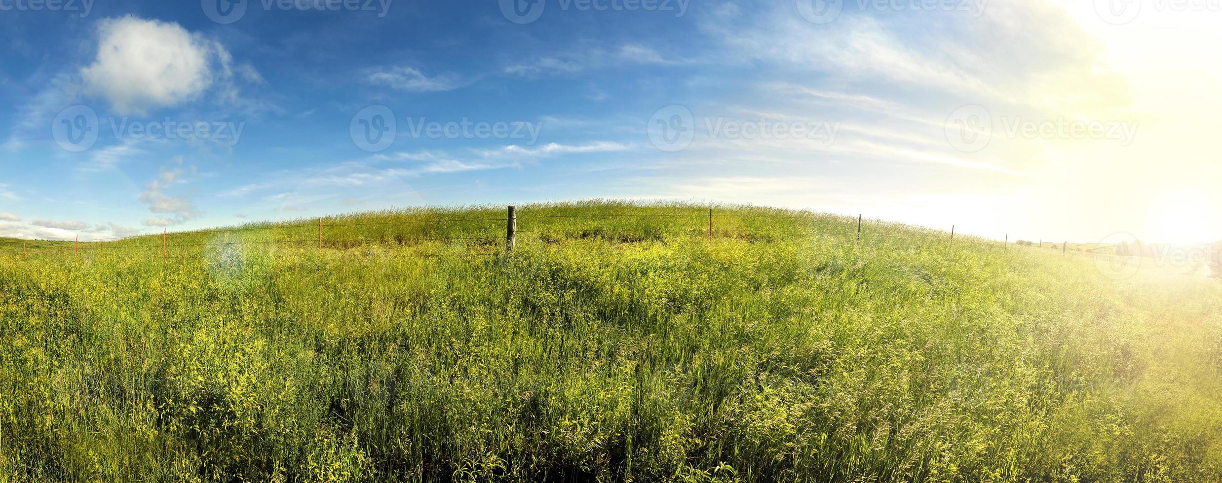 sommardagar, soluppgång på södra dakota gräsland. foto
