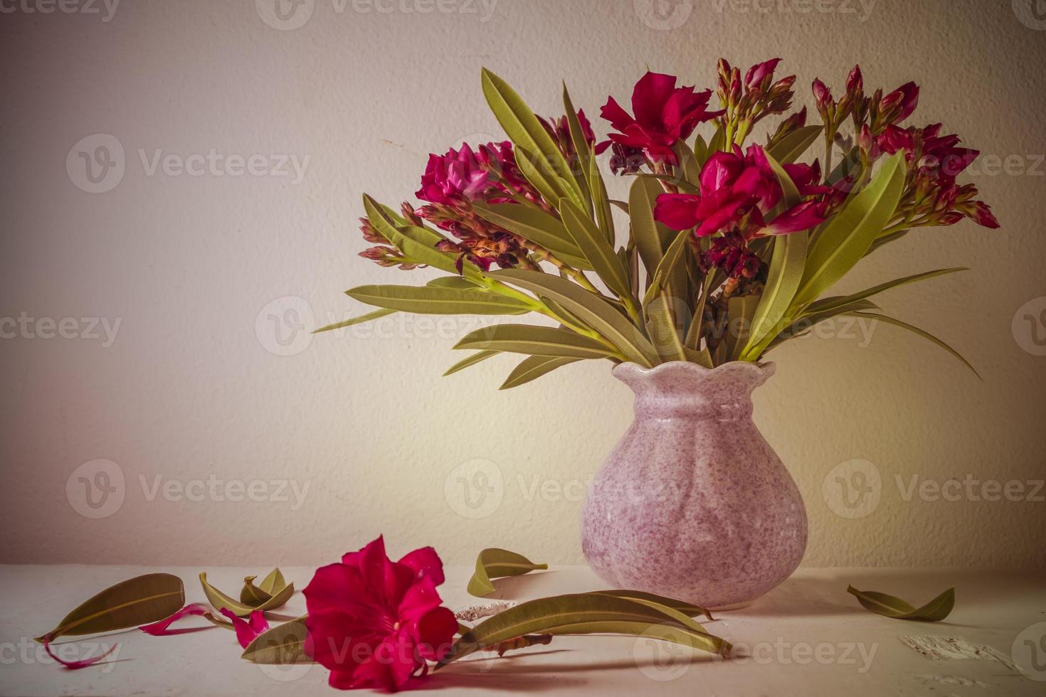 stilleben med en vacker blomma foto