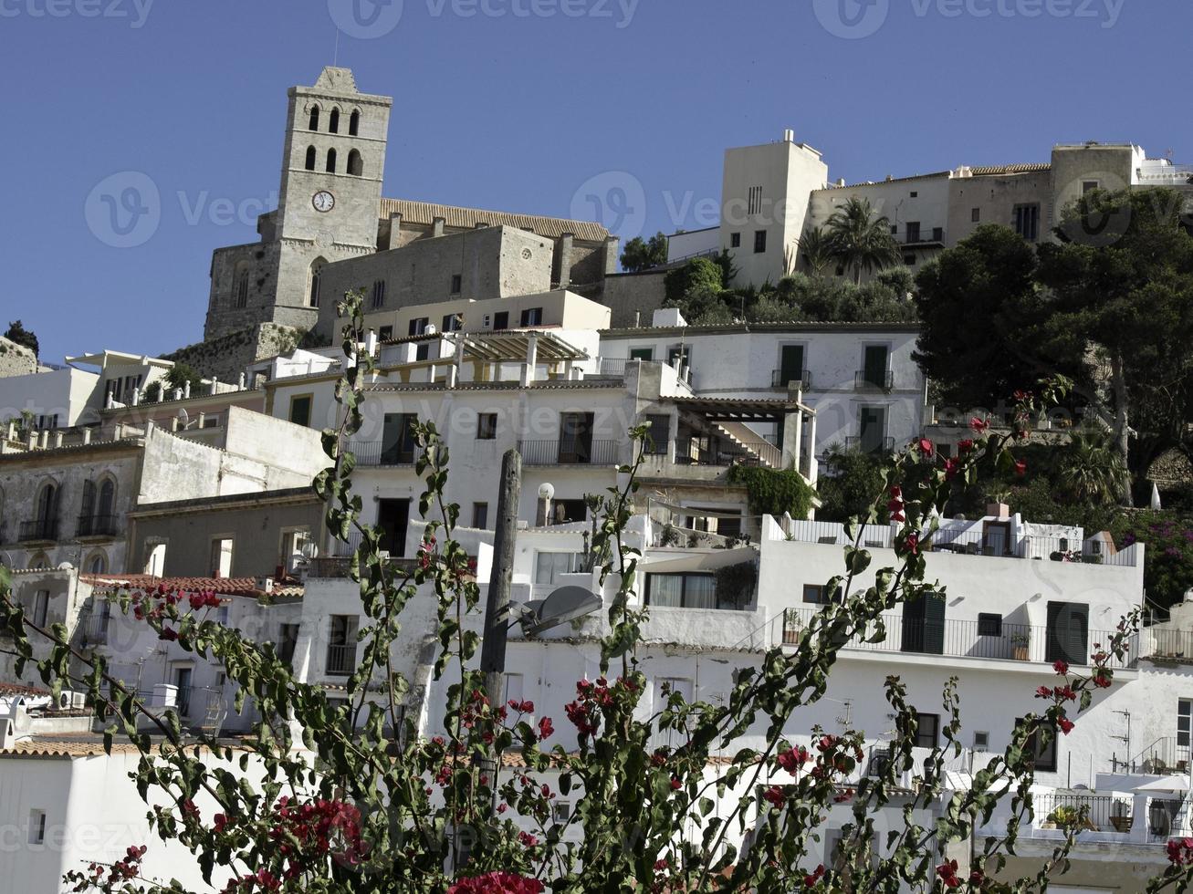 ön ibiza i spanien foto