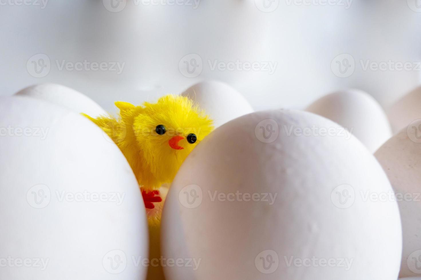 kokta ägg kycklingar i ägglåda. konstgjord kyckling på bakgrunden av kycklingägg foto