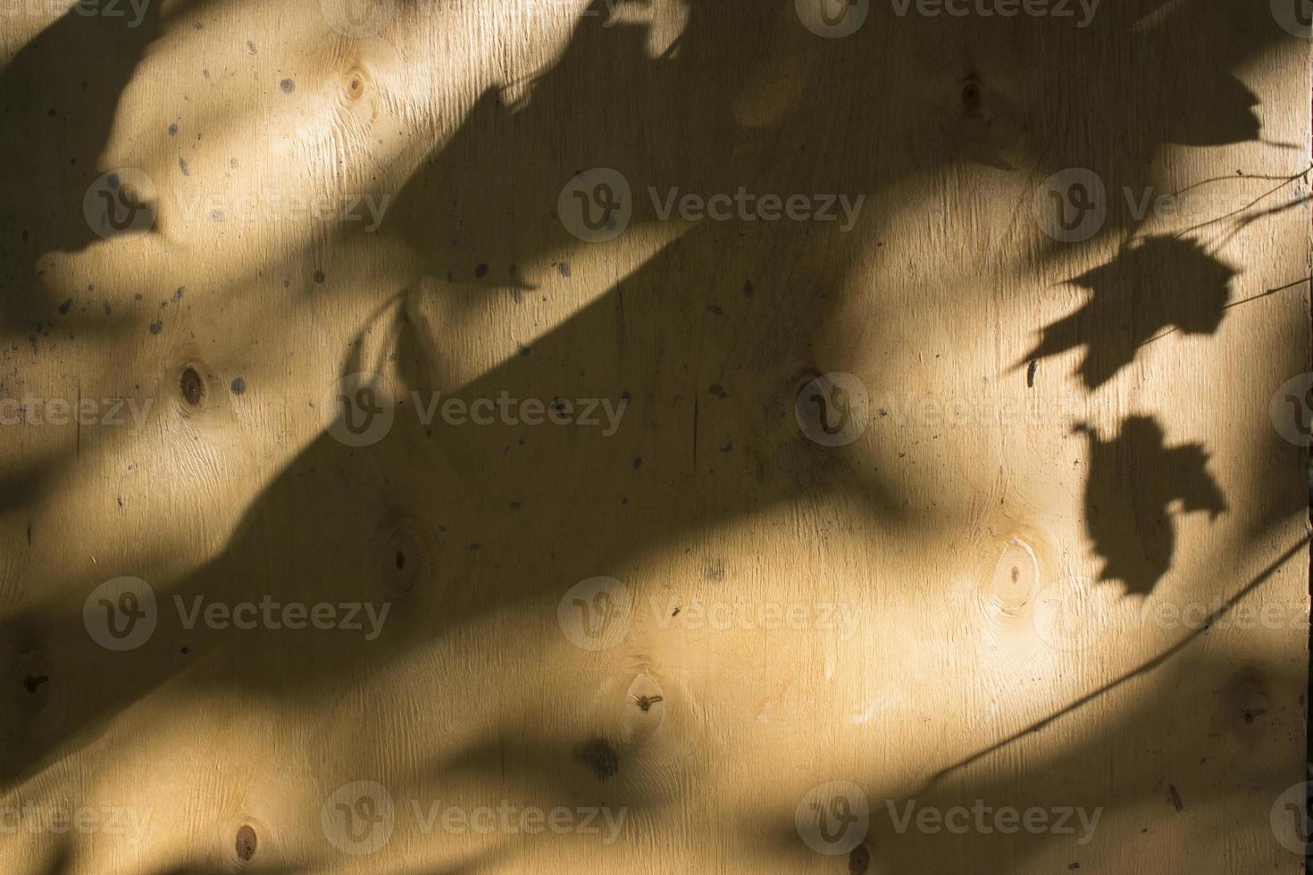 närbild av en svart lövskugga från solljuset på en brun plywoodyta. foto
