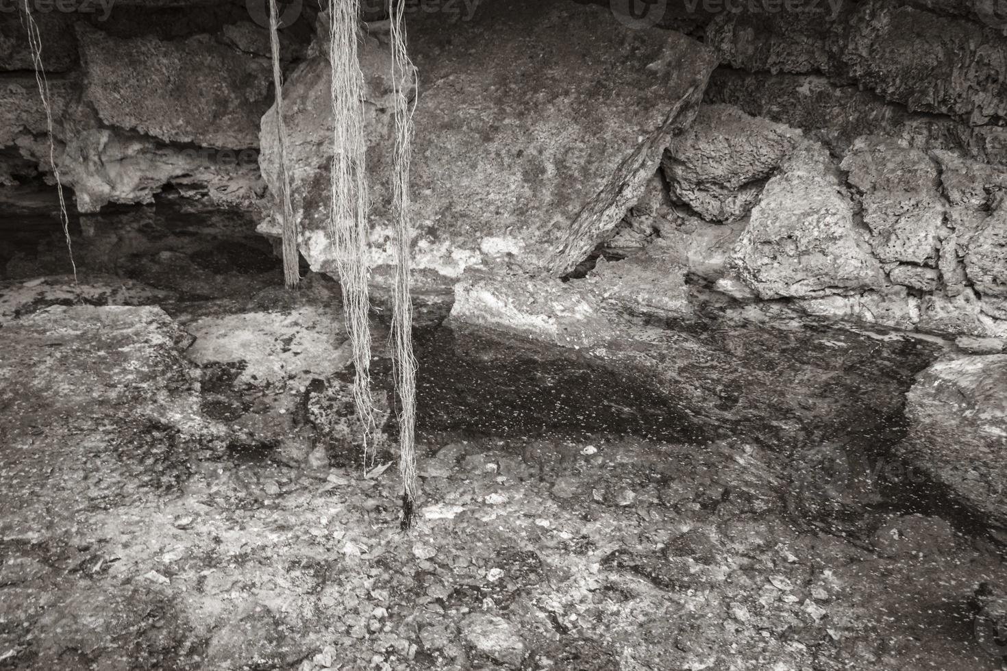 blå turkos vatten kalksten grotta sjunkhål cenote tajma ha mexico. foto