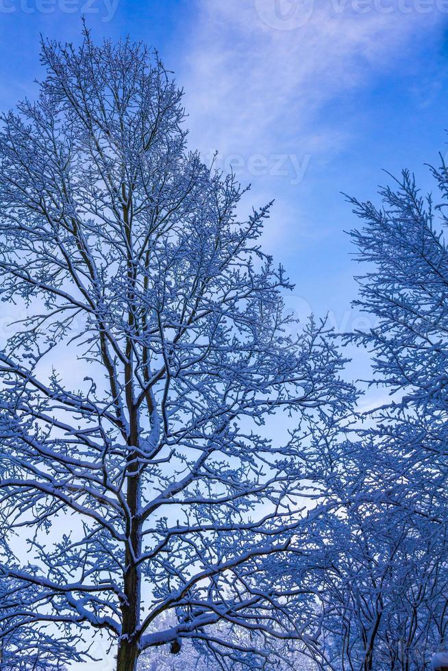 snöig vinter snö och is landskap panoramautsikt bremerhaven tyskland. foto