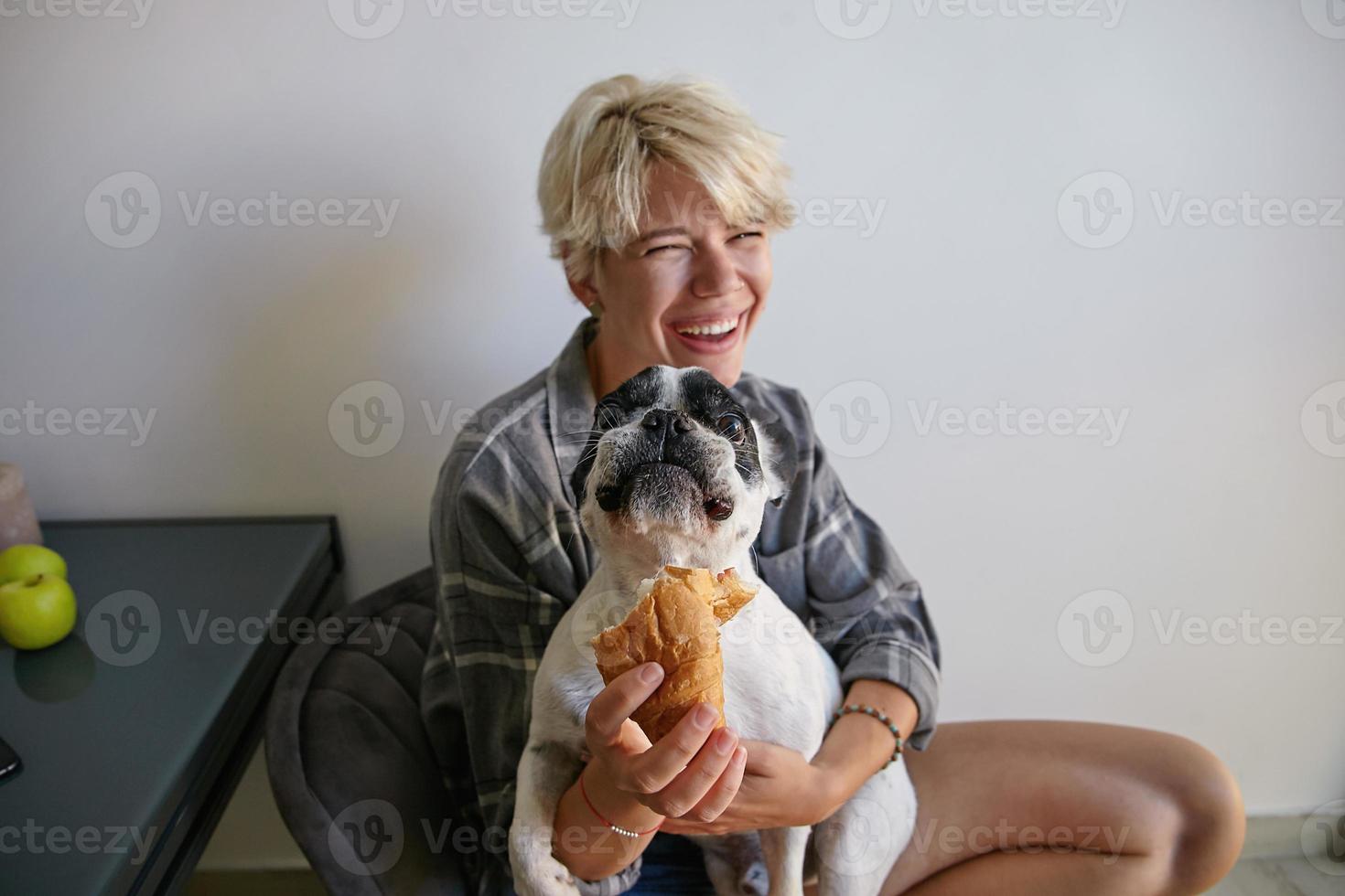 inomhusbild av en skrattande ung kvinna i vardagskläder, håller och matar sin hund med croissant, hunden ser upptagen ut och tuggar godis foto
