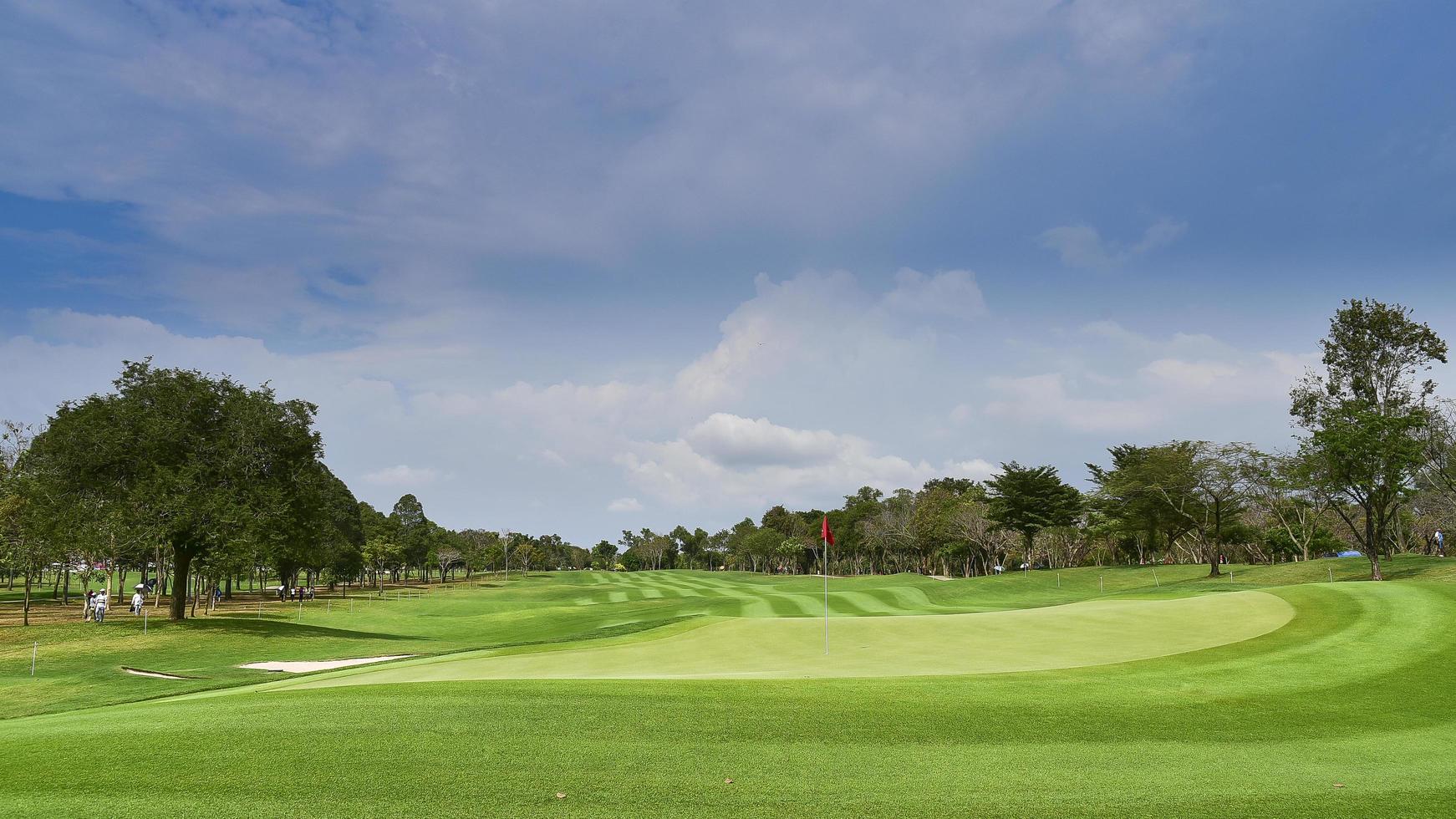 en vy landskap grönt gräs på golfbanan, stora träd med solljus himmel bakgrund foto