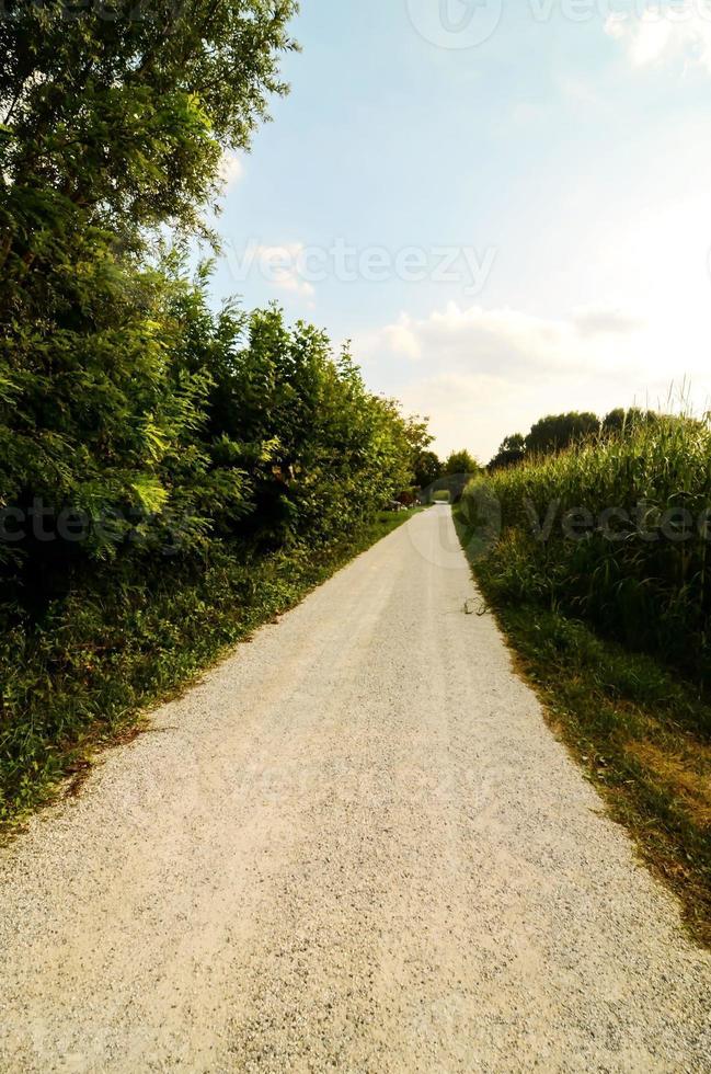 landsbygden smutsig väg foto