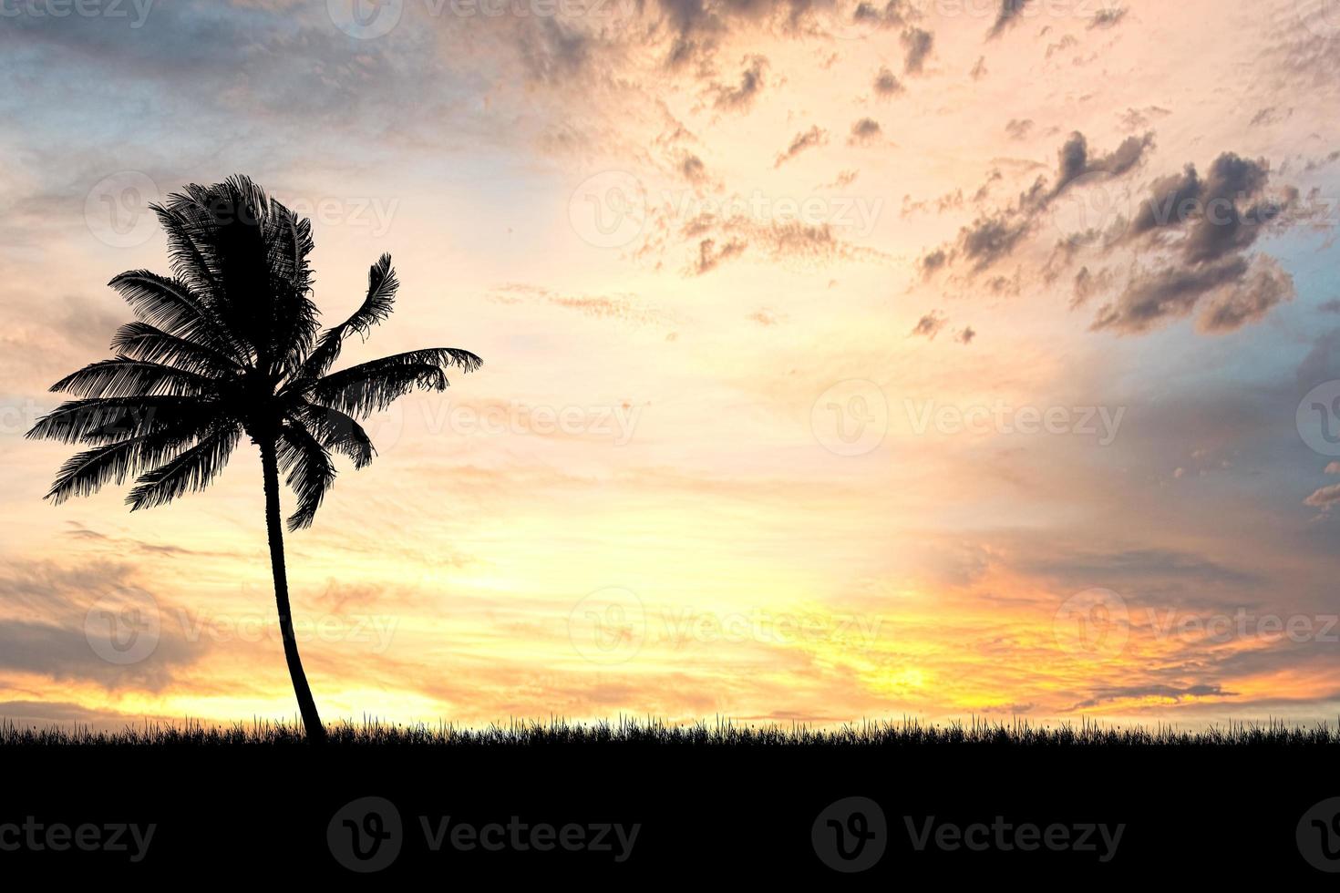 kokosnötsträd siluett med vackert naturligt ljus. för användning som bakgrund. naturvy och solnedgångskoncept foto