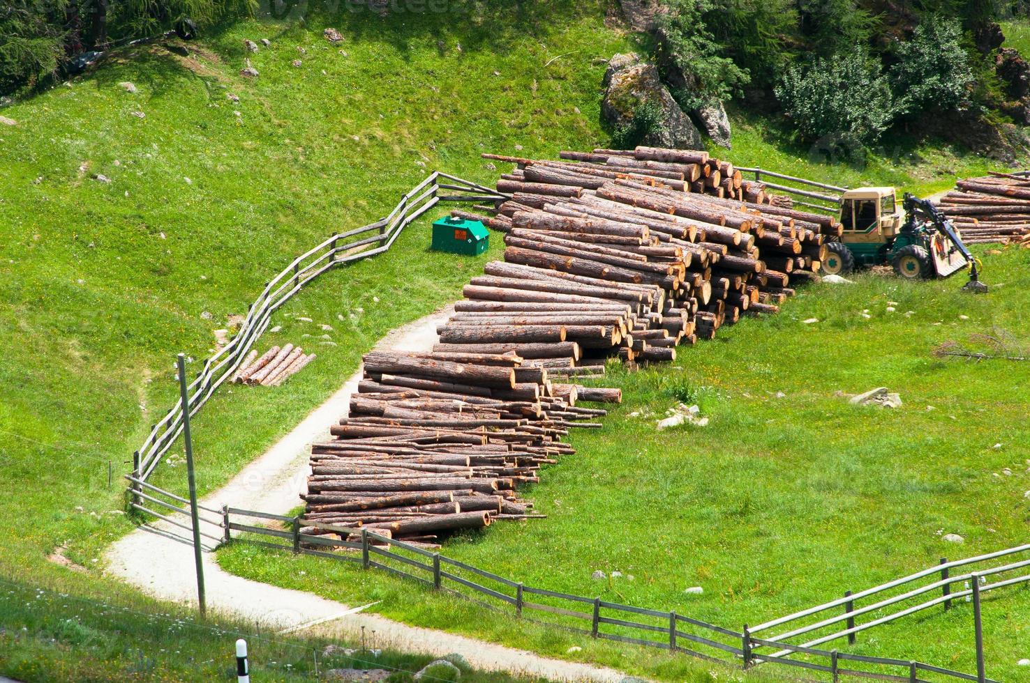 hög av timmer huggen från skogen foto