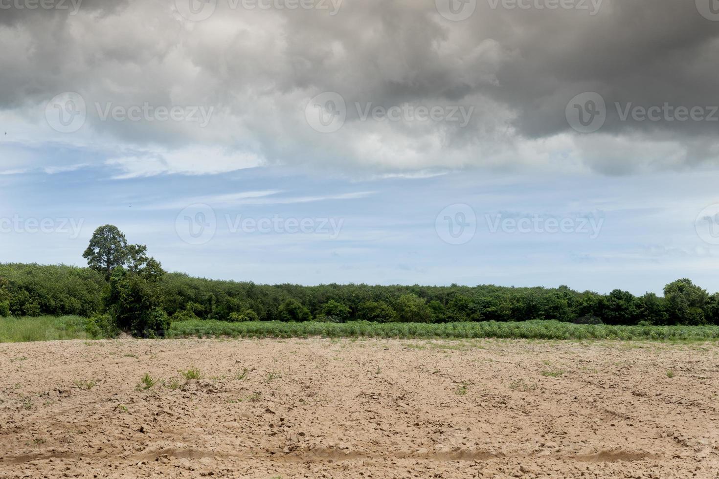 landskapsvy av förbereda för att anpassa marken för jordbruk. med bakgrund av grönt gräs och grön skog under blå himmel och mörka moln. de tropiska områdena i thailand. foto