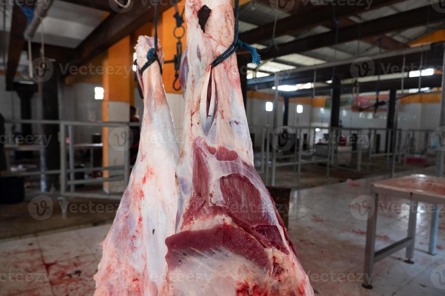 selektivt fokus på färskt nötköttshäng som har slaktats som ett resultat av eid al-adha-offret, eller som kommer att säljas på marknaden. mjukt fokus foto