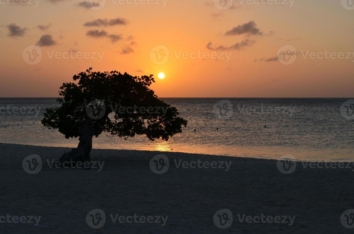 orange solnedgång på eagle beach i aruba foto
