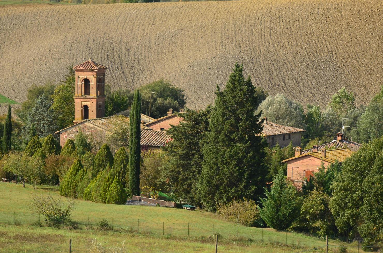 underbar vingård på den italienska landsbygden foto