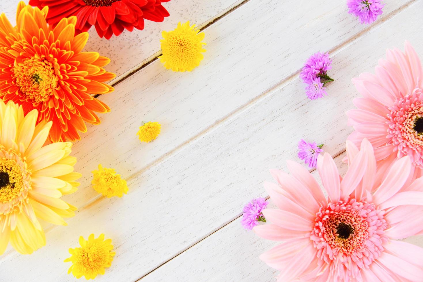 färska vårblommor gerbera färgglada och blomma olika på trä vit bakgrund foto