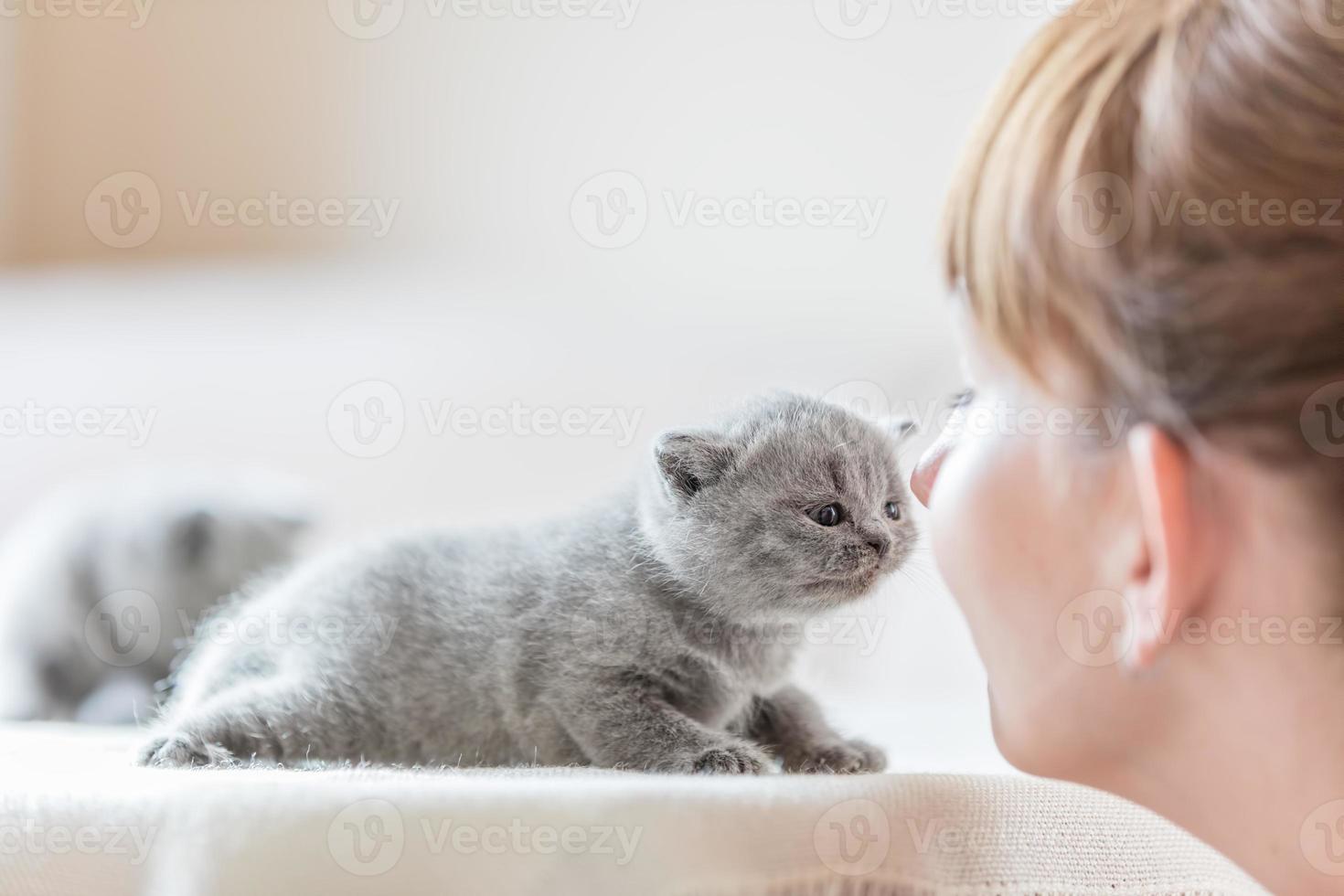 söt liten katt och kvinna gnuggar näsor. foto