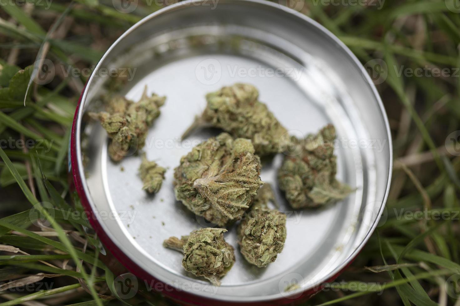 medicinska marihuana knoppar närbild bakgrund röka ogräs foto